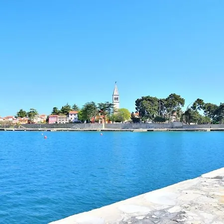 Aristea *